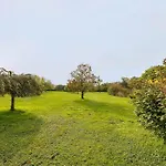 Die Grosse Gruene * Burtevitz
