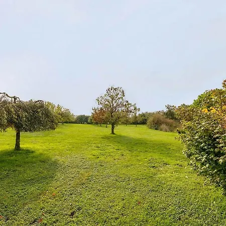 Apartment Die große Grüne Burtevitz