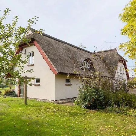 Grosse Gruene Burtevitz